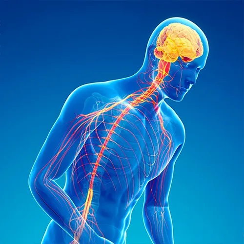 Parkinson Disease Treatment Parkinson Disease Treatment